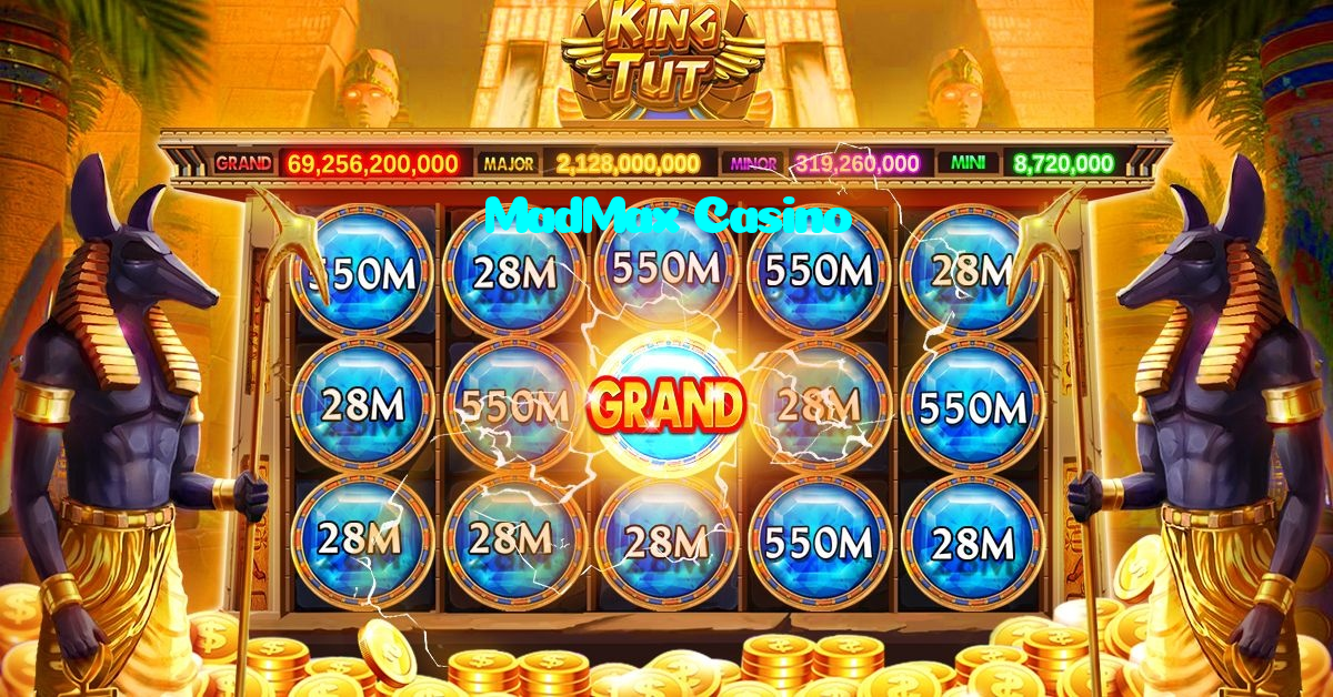 available types of MadMax Casino bet including pre-match live express and system bets